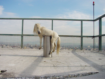 Anri Sala - No barragan no cry, 2002 Anri Sala