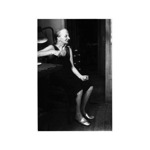 Dino Pedriali Dino Pedriali