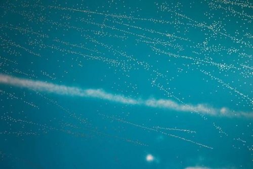 John Reynolds John Reynolds