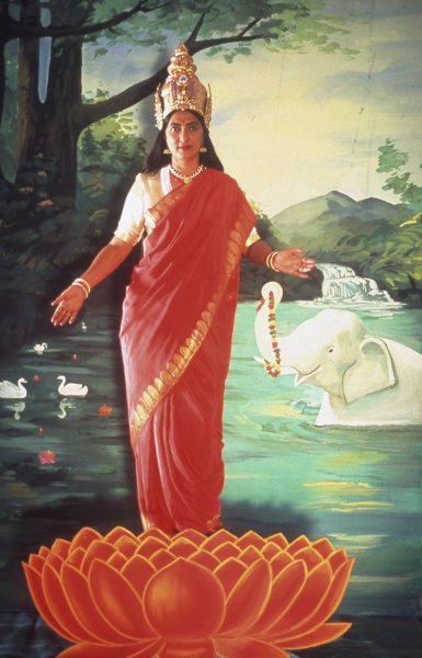 Pushpamala N. The Native Types - Lakshmi