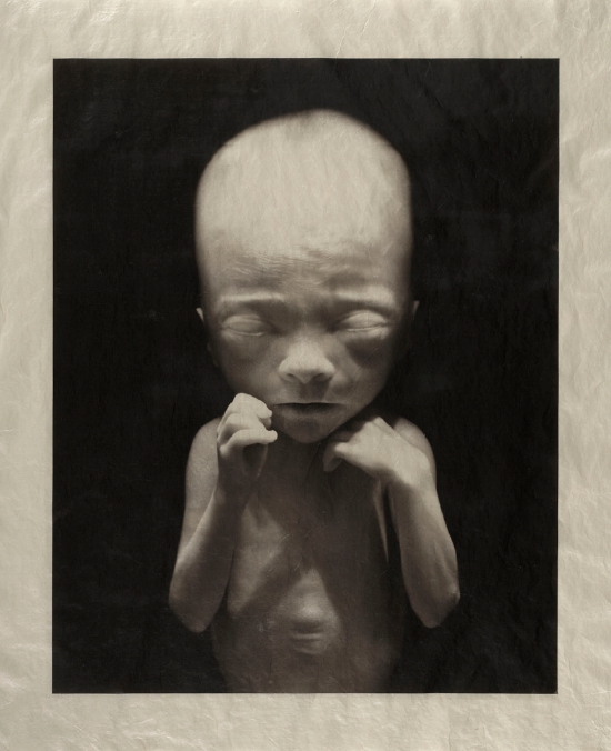 The Unborn #1, 2025, platinum palladium print, on Japanese gampi, 61 x 50 cm, 24 x 20 in